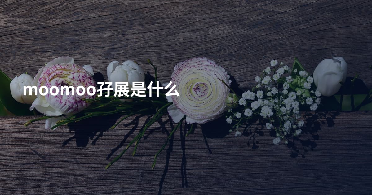 moomoo孖展是什么
