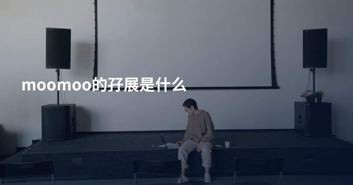 moomoo的孖展是什么