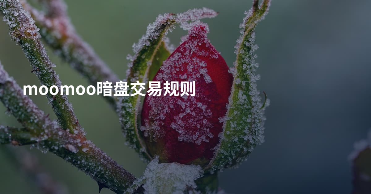 moomoo暗盘交易规则