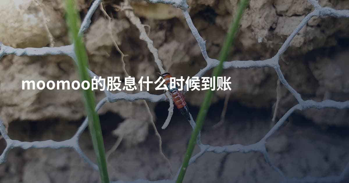 moomoo的股息什么时候到账