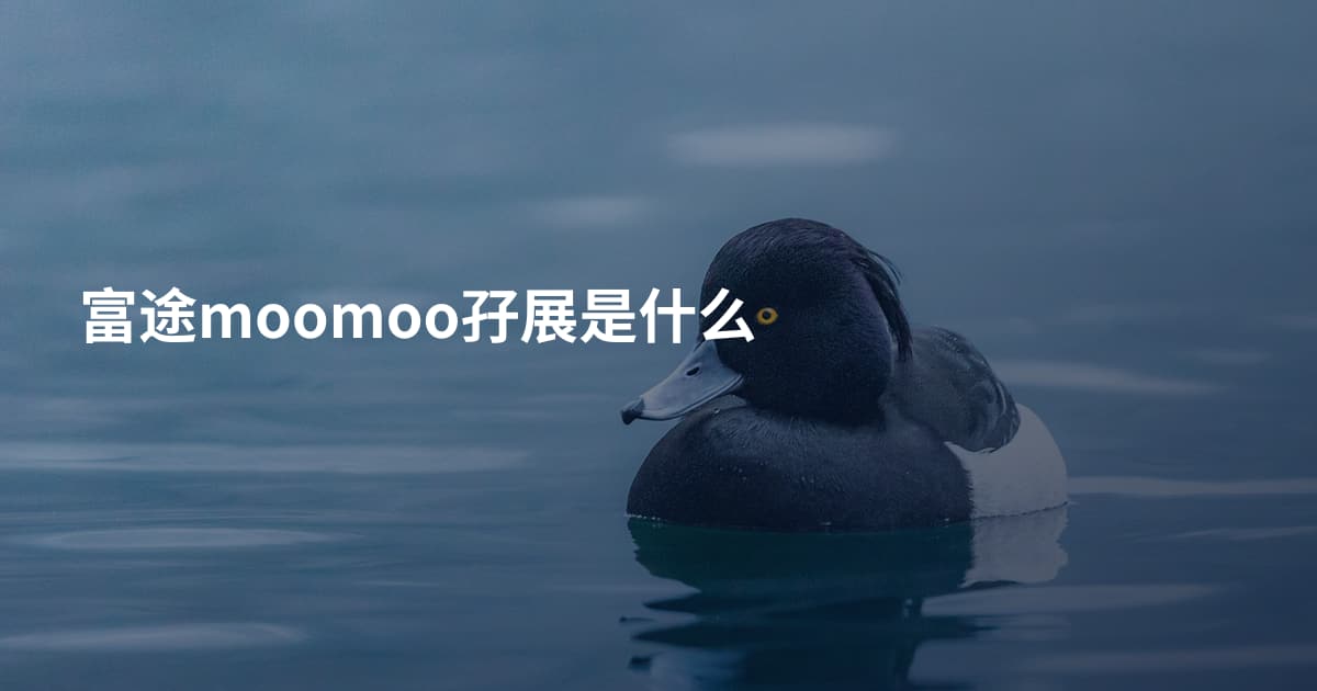 富途moomoo孖展是什么