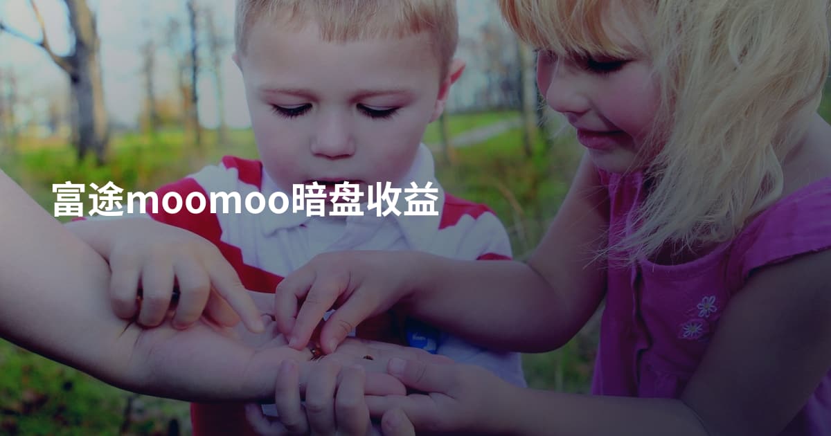 富途moomoo暗盘收益