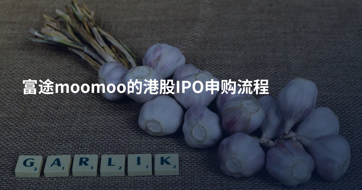 富途moomoo的港股IPO申购流程