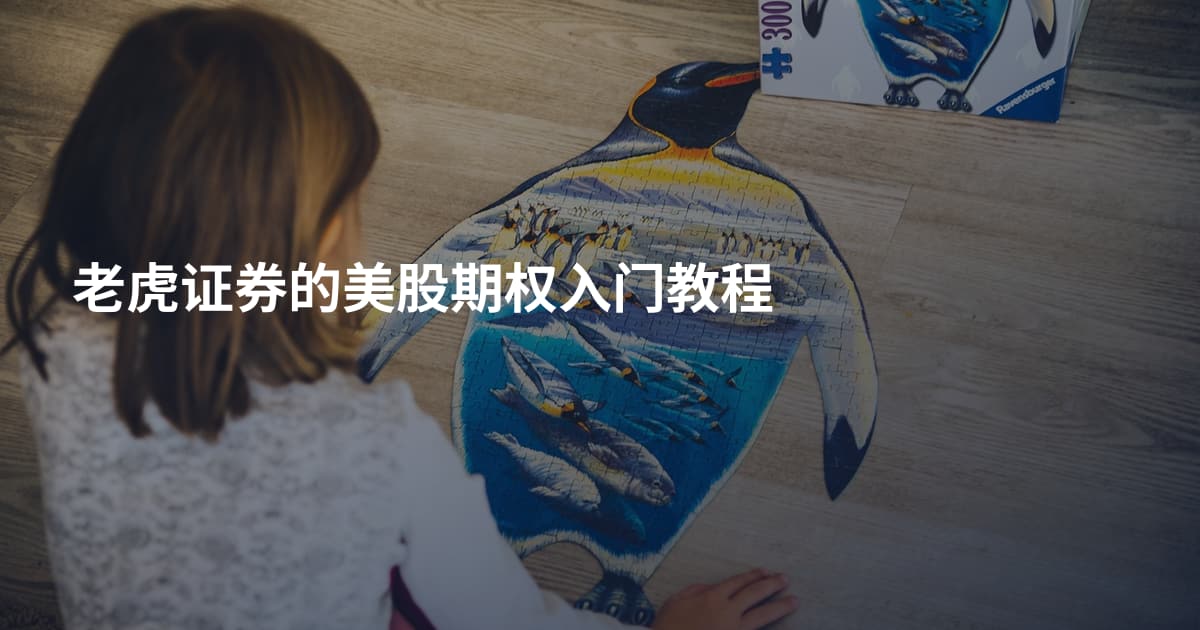 老虎证券的美股期权入门教程