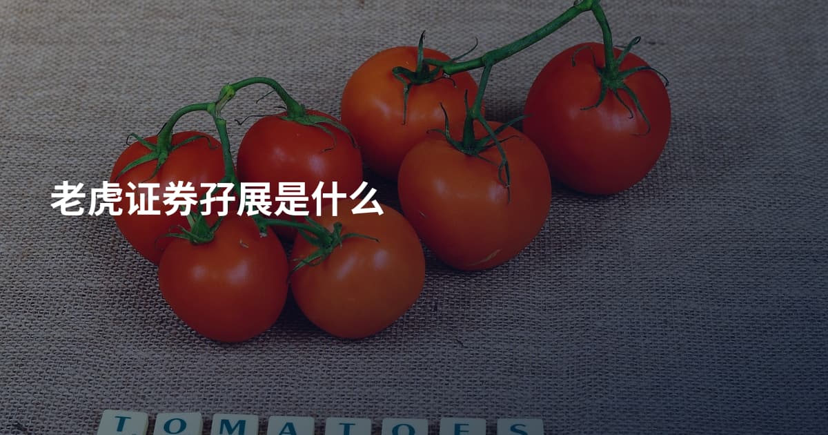 老虎证券孖展是什么