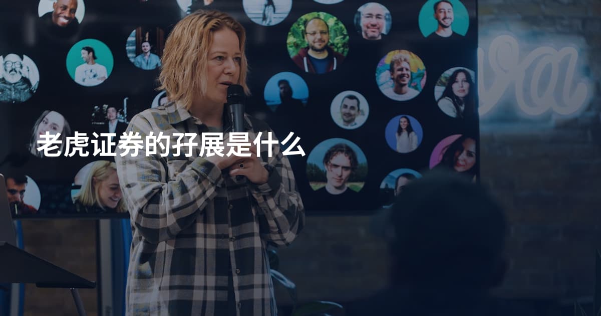 老虎证券的孖展是什么