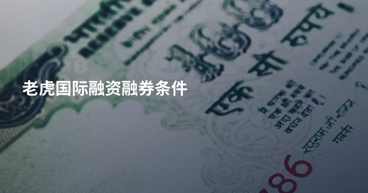 老虎国际融资融券条件