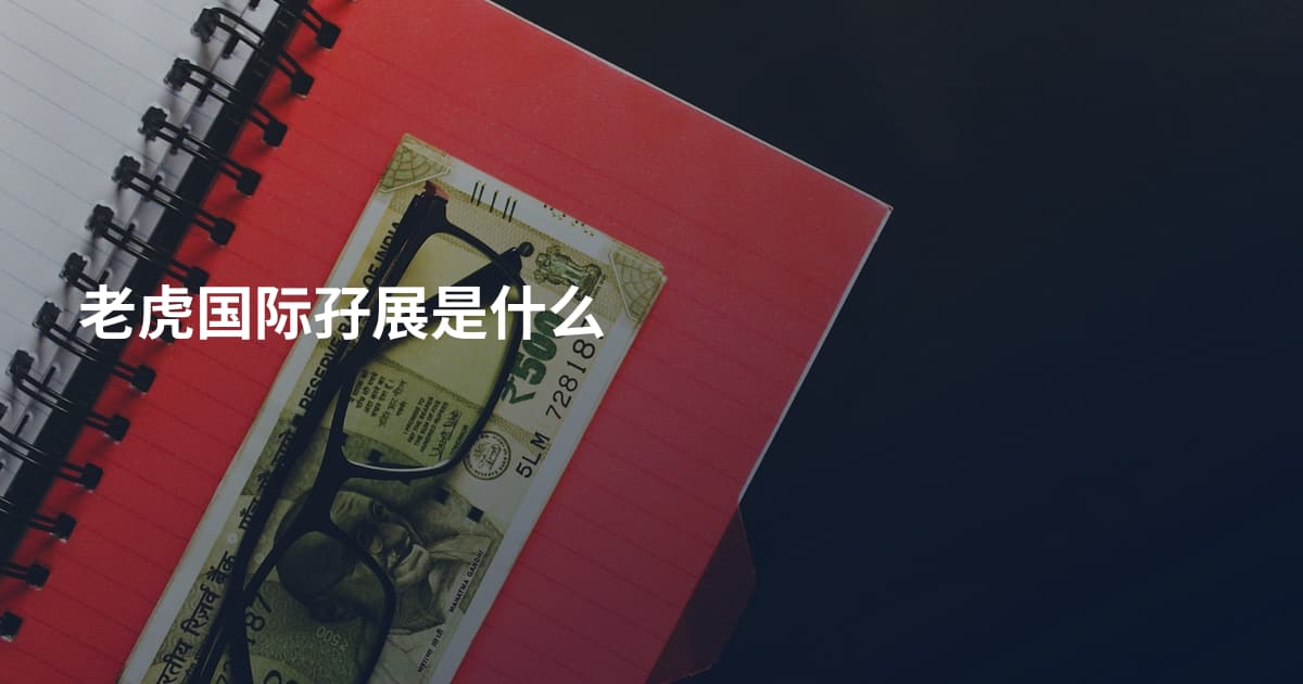 老虎国际孖展是什么