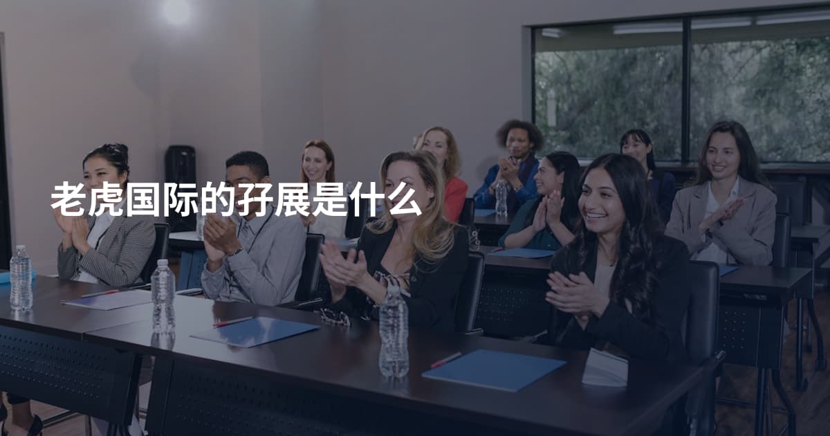 老虎国际的孖展是什么