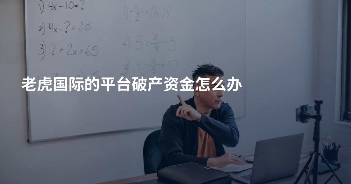 老虎国际的平台破产资金怎么办