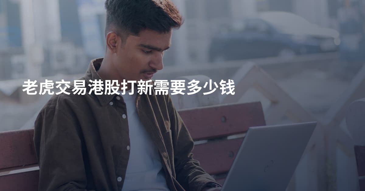 老虎交易港股打新需要多少钱
