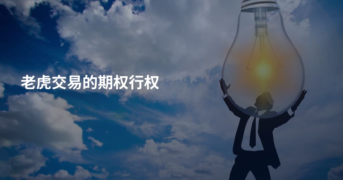 老虎交易的期权行权