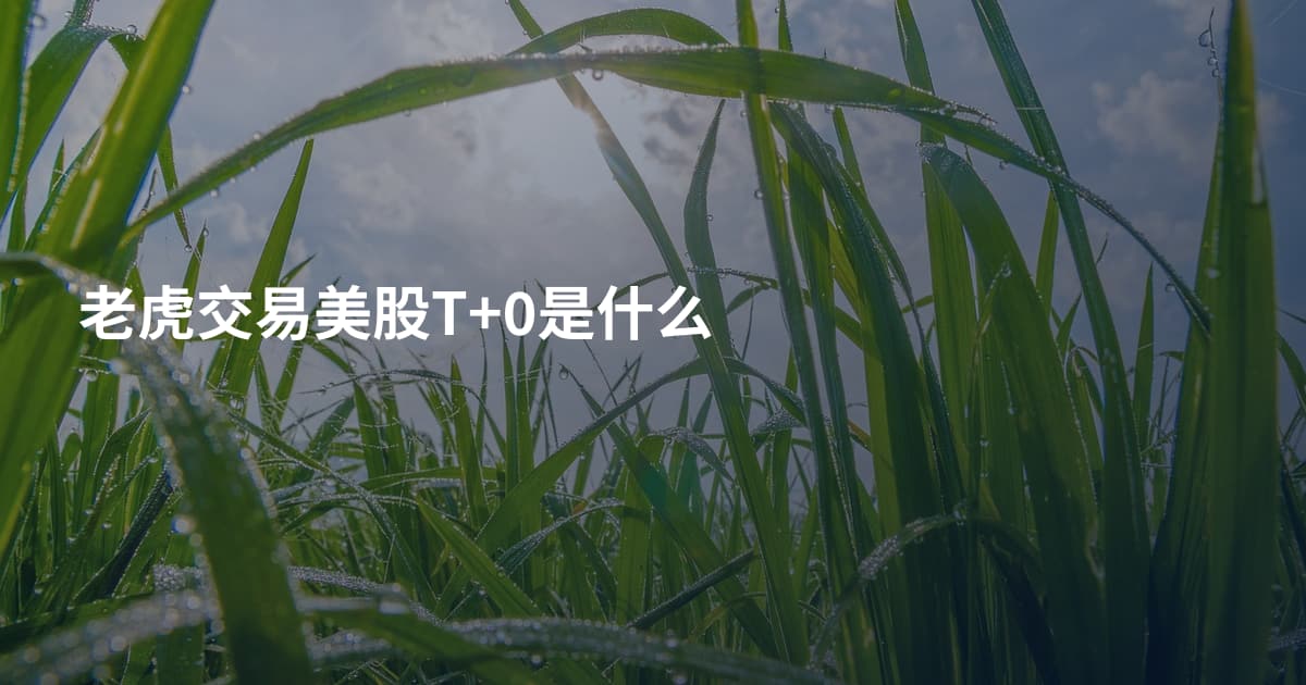 老虎交易美股T+0是什么