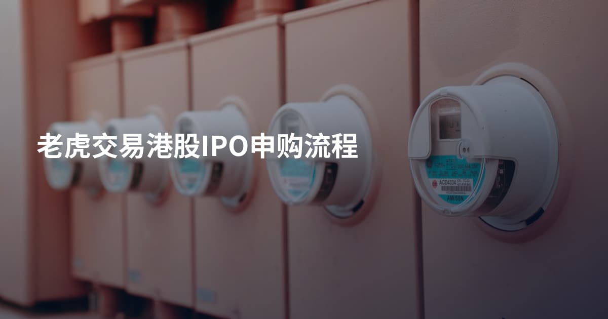 老虎交易港股IPO申购流程