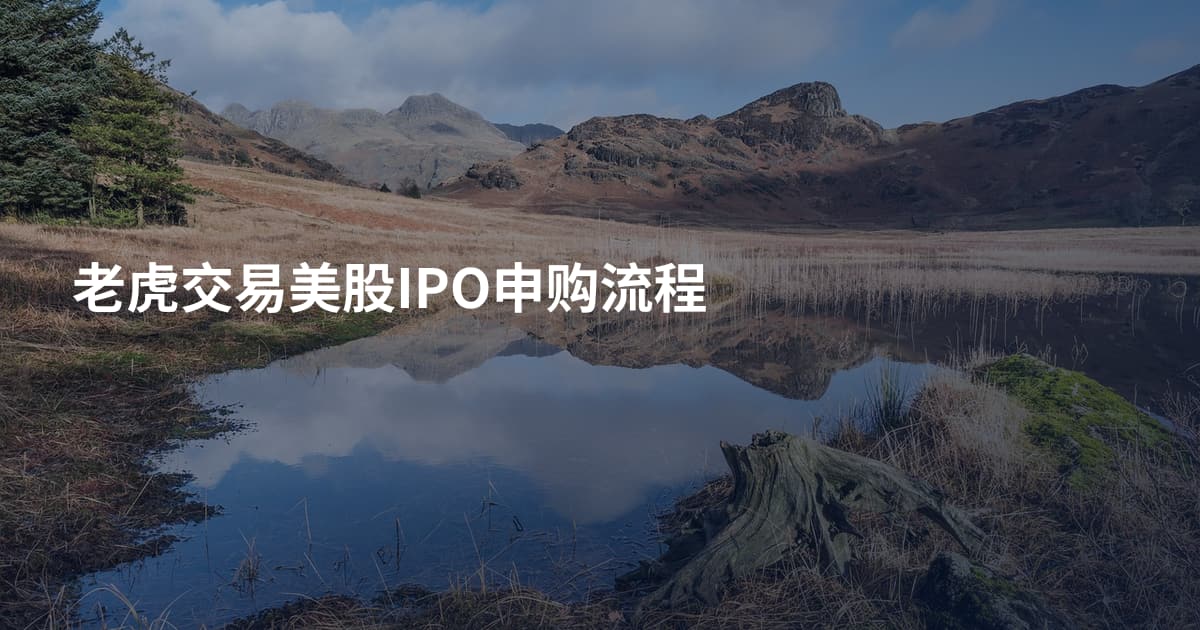 老虎交易美股IPO申购流程