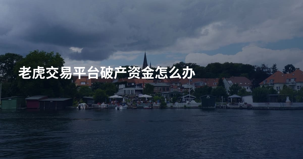 老虎交易平台破产资金怎么办