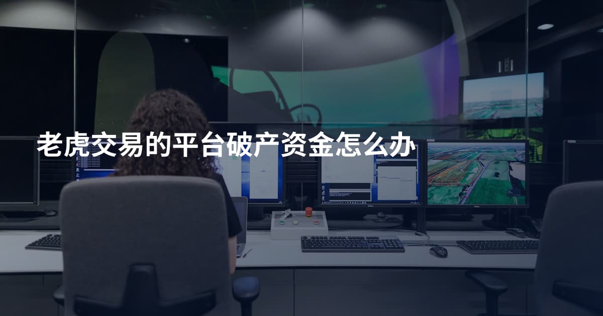 老虎交易的平台破产资金怎么办