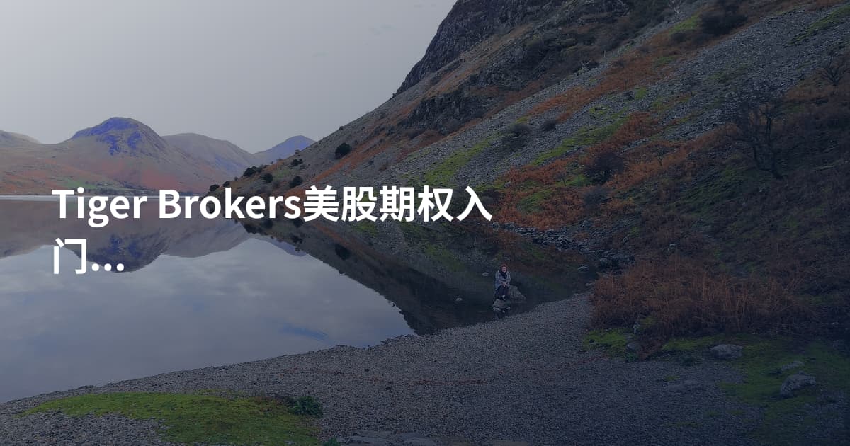 Tiger Brokers美股期权入门教程