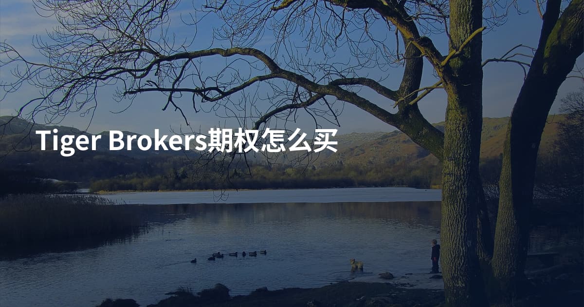 Tiger Brokers期权怎么买