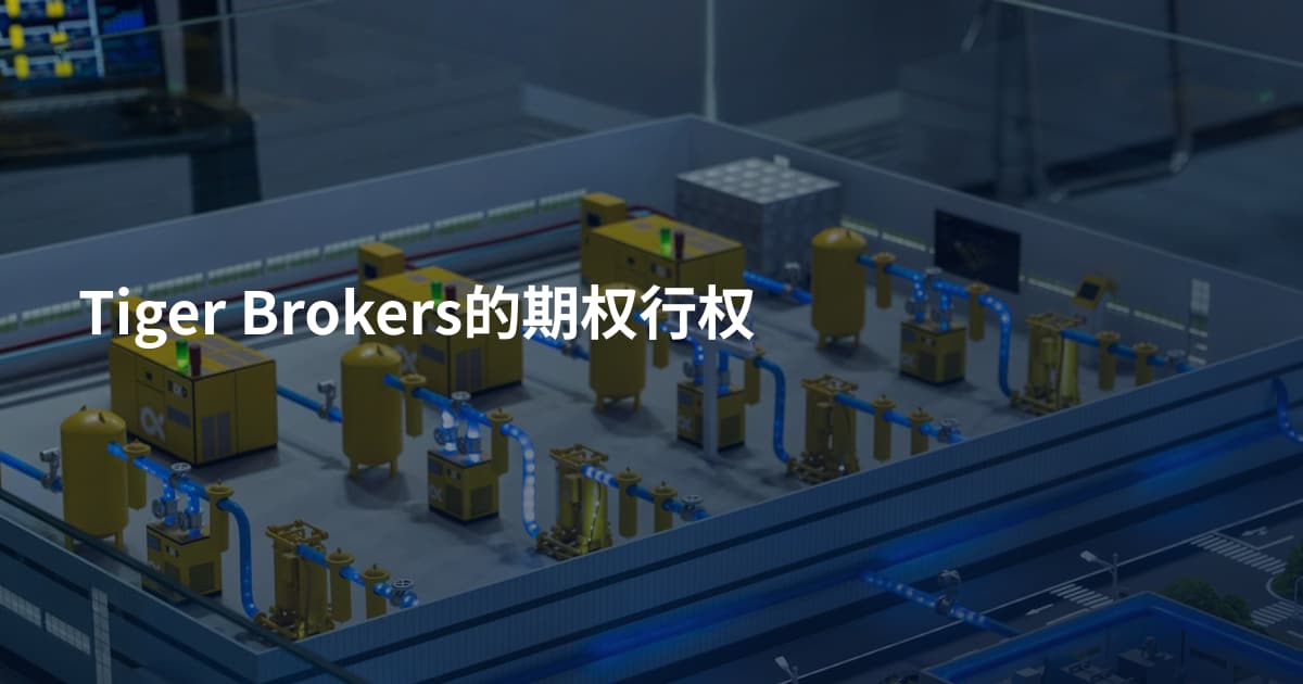 Tiger Brokers的期权行权
