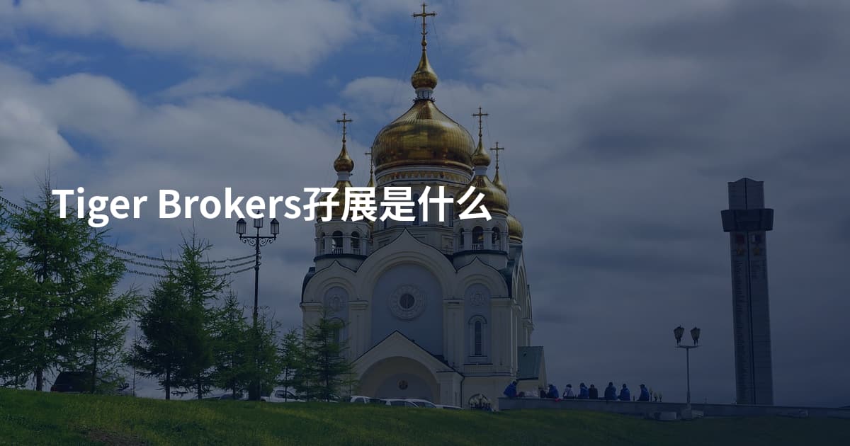 Tiger Brokers孖展是什么