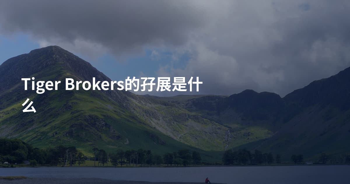 Tiger Brokers的孖展是什么