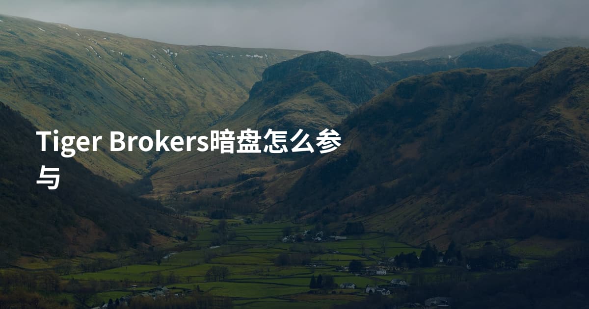 Tiger Brokers暗盘怎么参与
