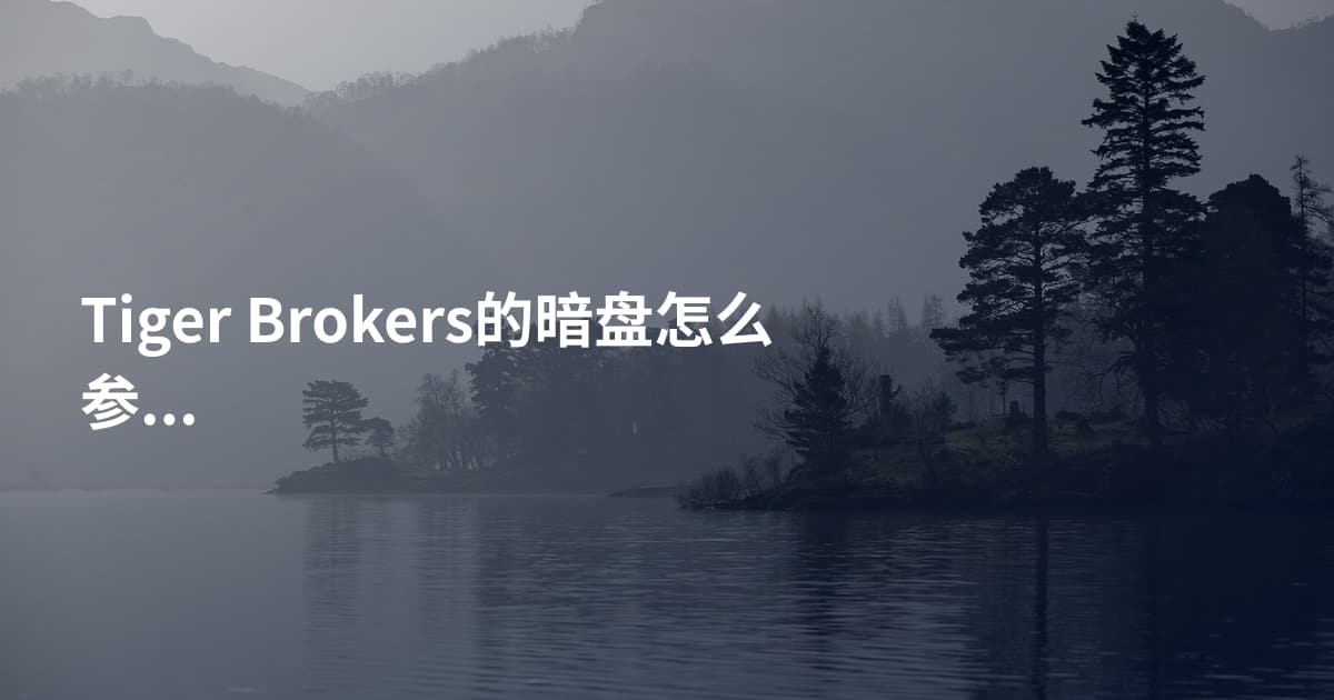 Tiger Brokers的暗盘怎么参与