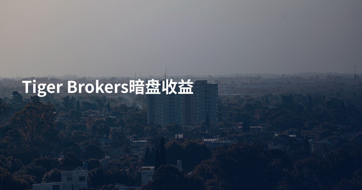 Tiger Brokers暗盘收益