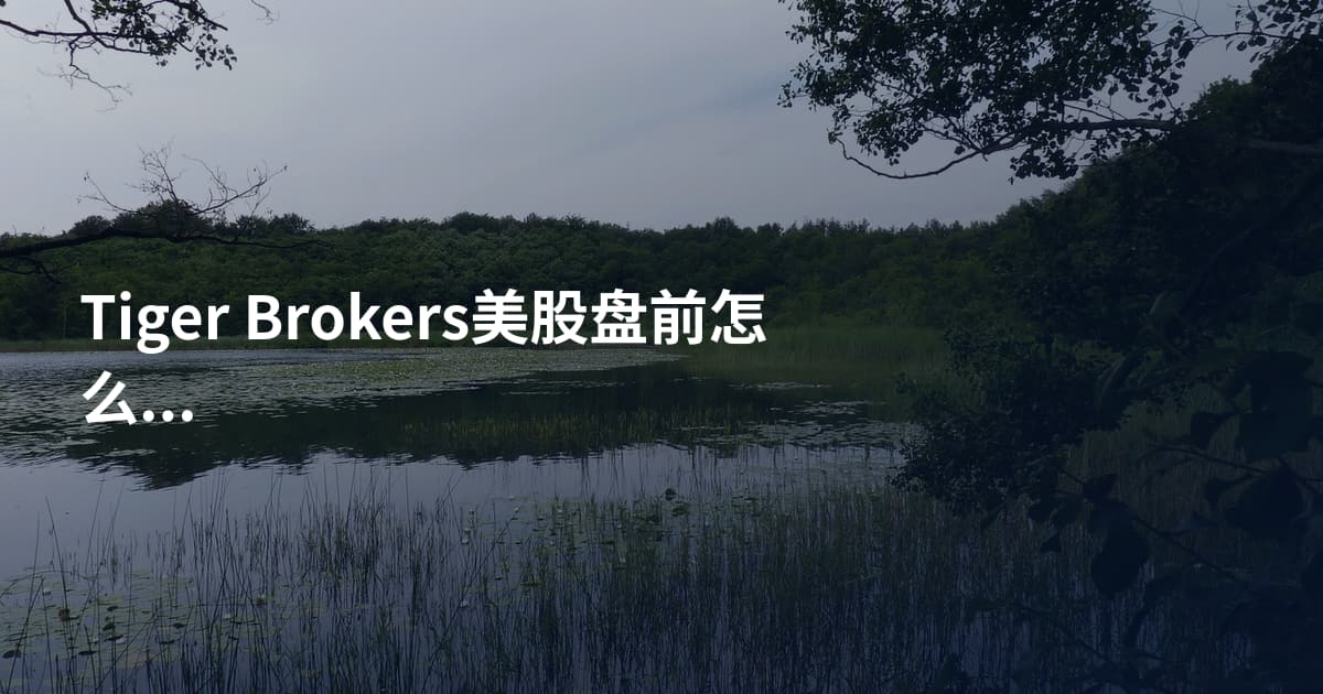 Tiger Brokers美股盘前怎么操作