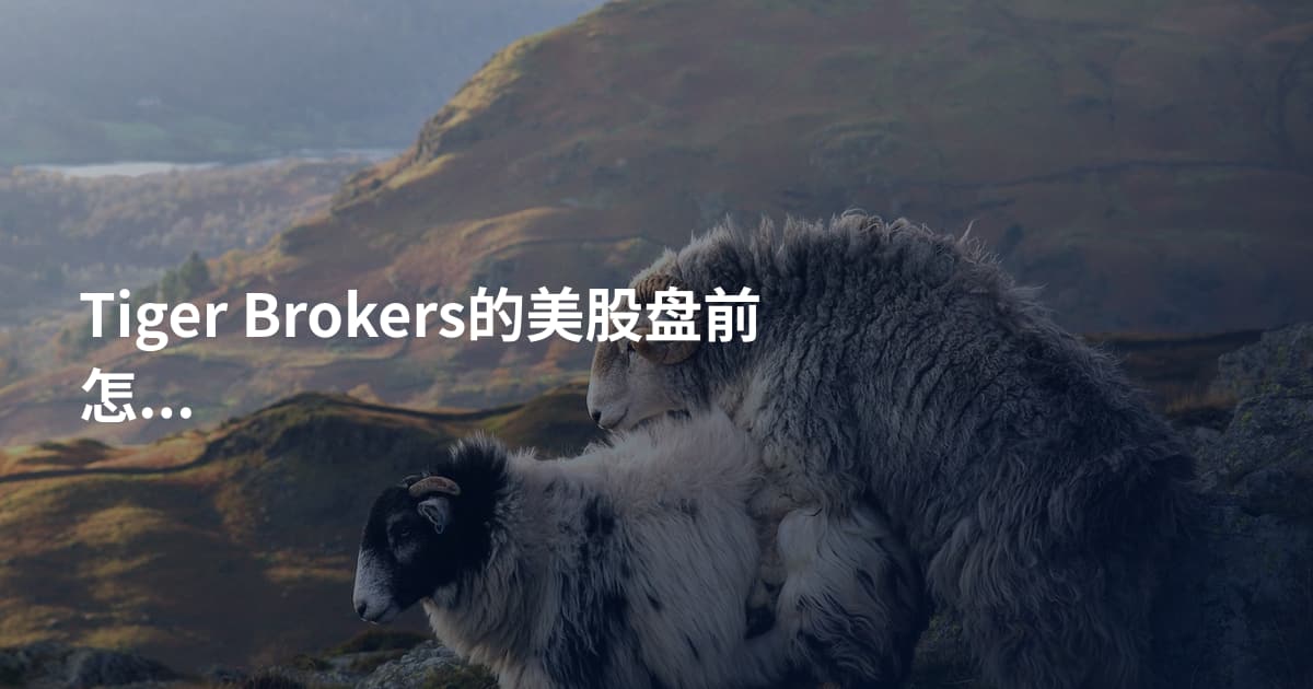 Tiger Brokers的美股盘前怎么操作