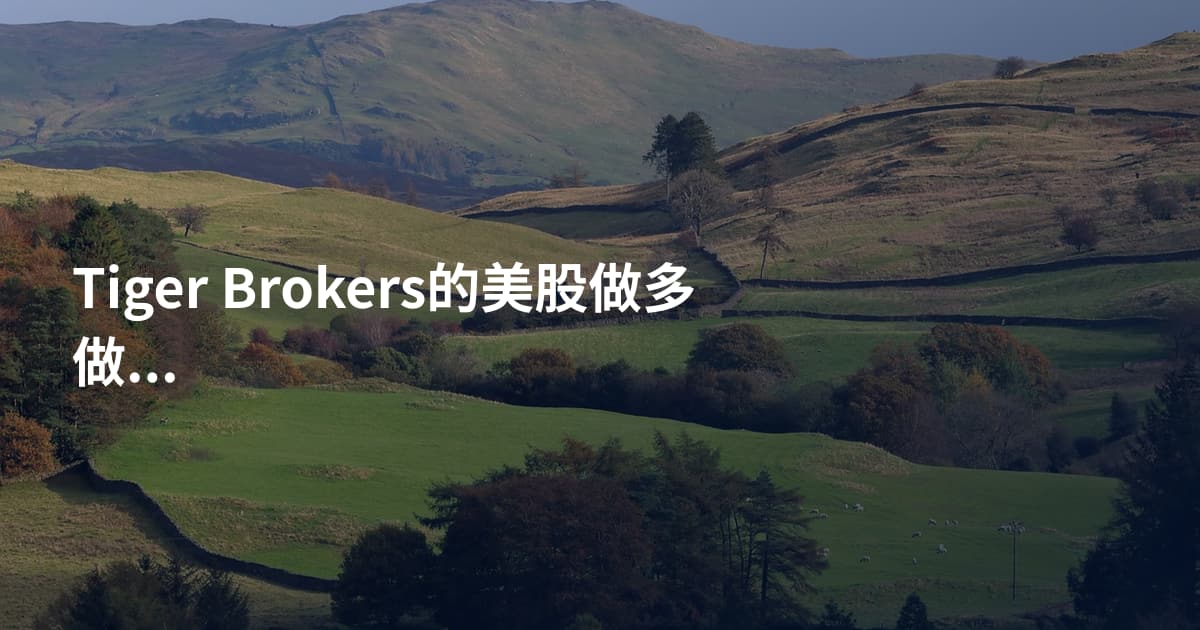 Tiger Brokers的美股做多做空