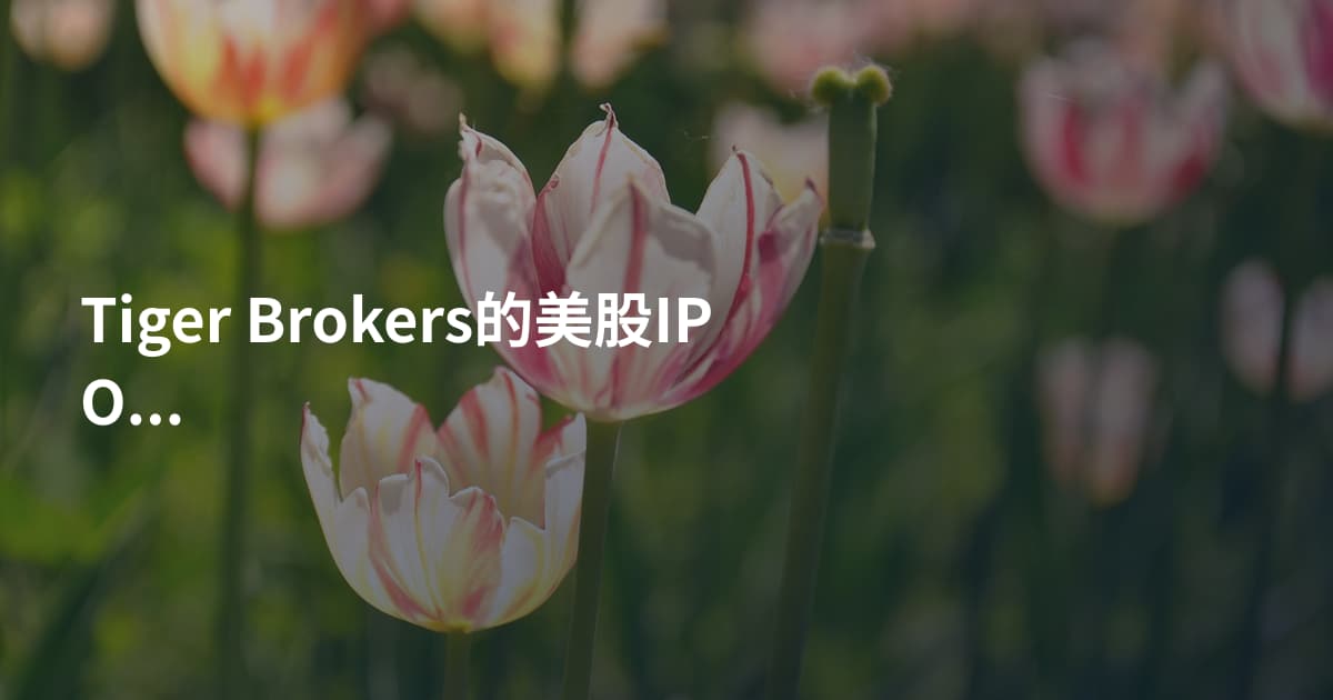 Tiger Brokers的美股IPO申购流程