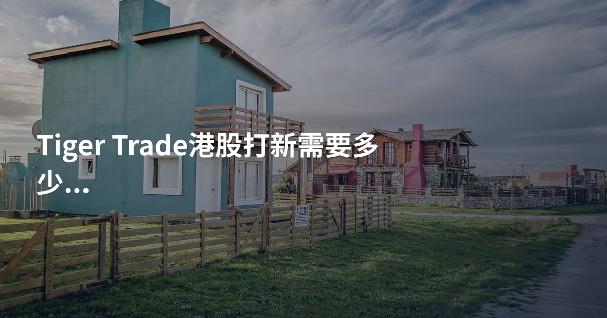 Tiger Trade港股打新需要多少钱