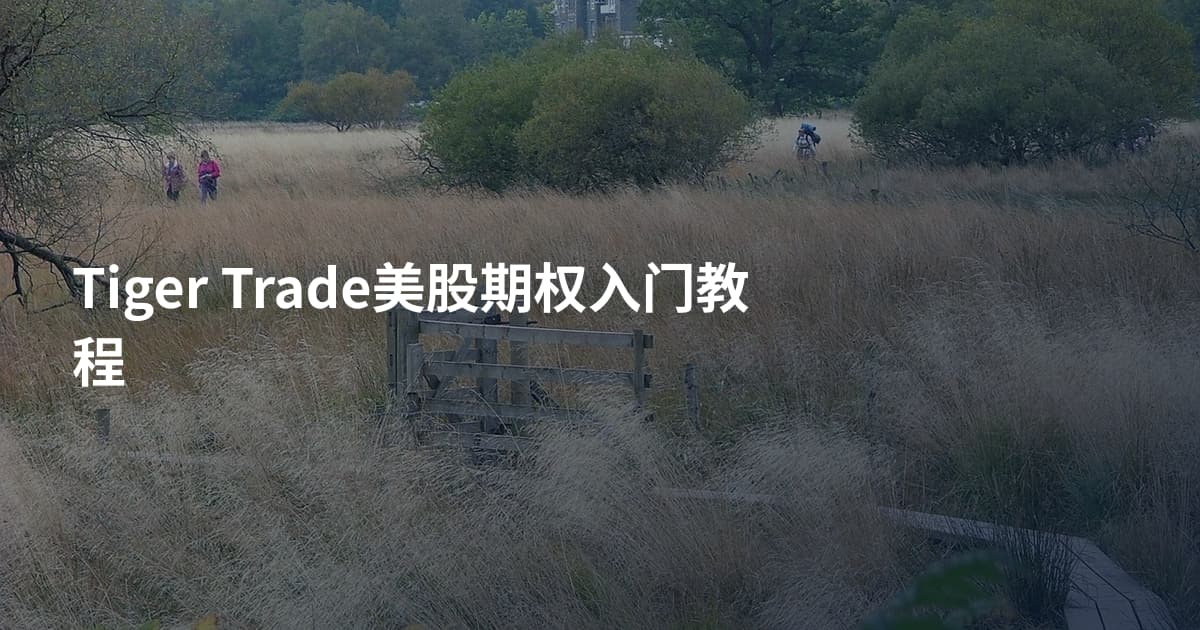 Tiger Trade美股期权入门教程