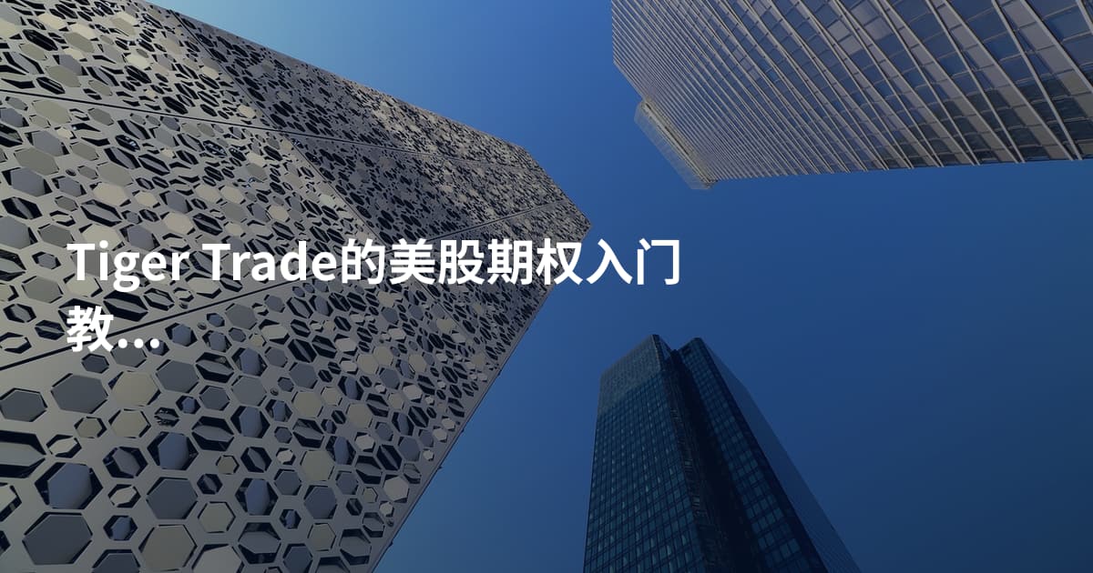 Tiger Trade的美股期权入门教程