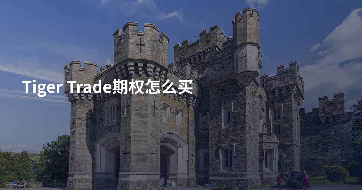Tiger Trade期权怎么买