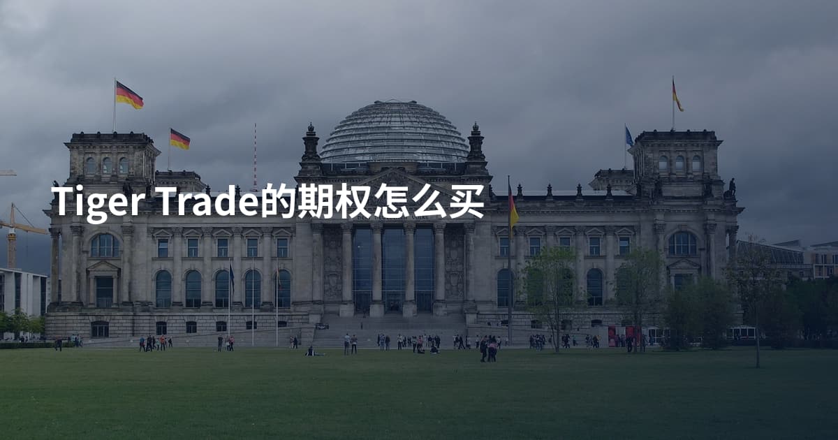 Tiger Trade的期权怎么买