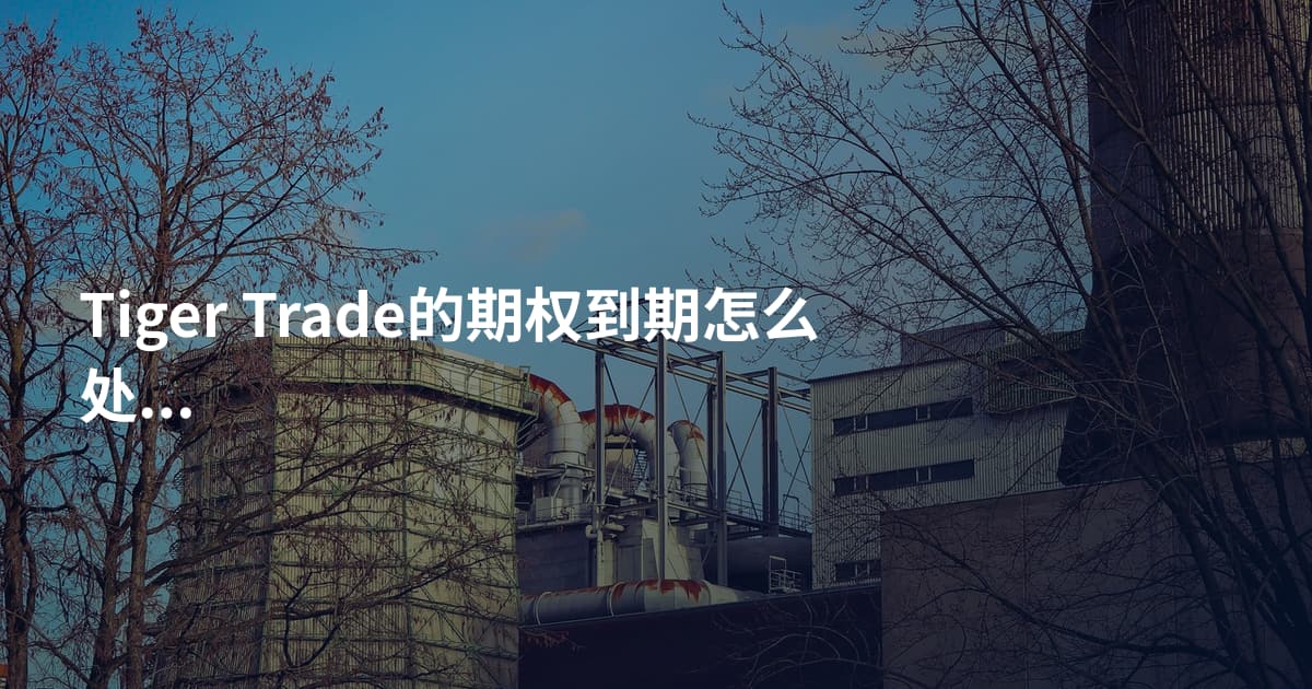 Tiger Trade的期权到期怎么处理