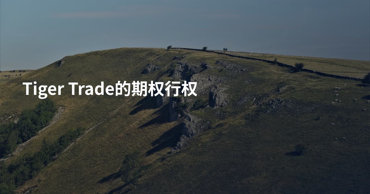 Tiger Trade的期权行权