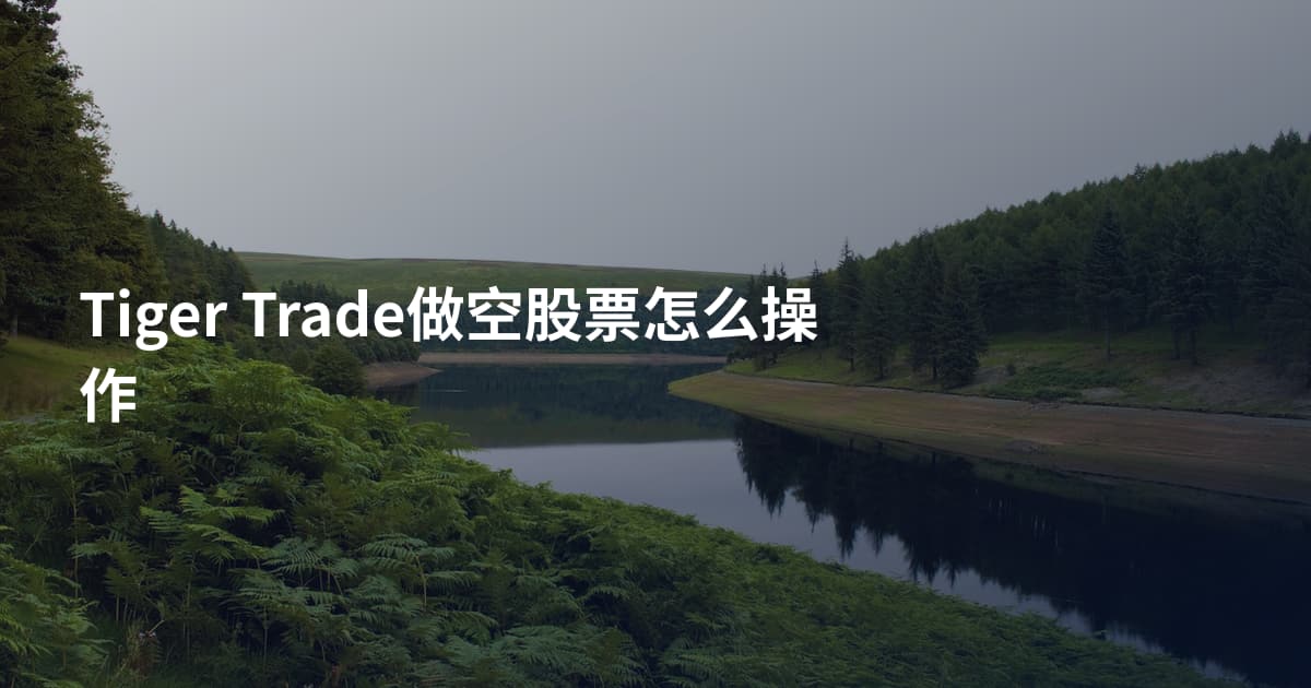 Tiger Trade做空股票怎么操作