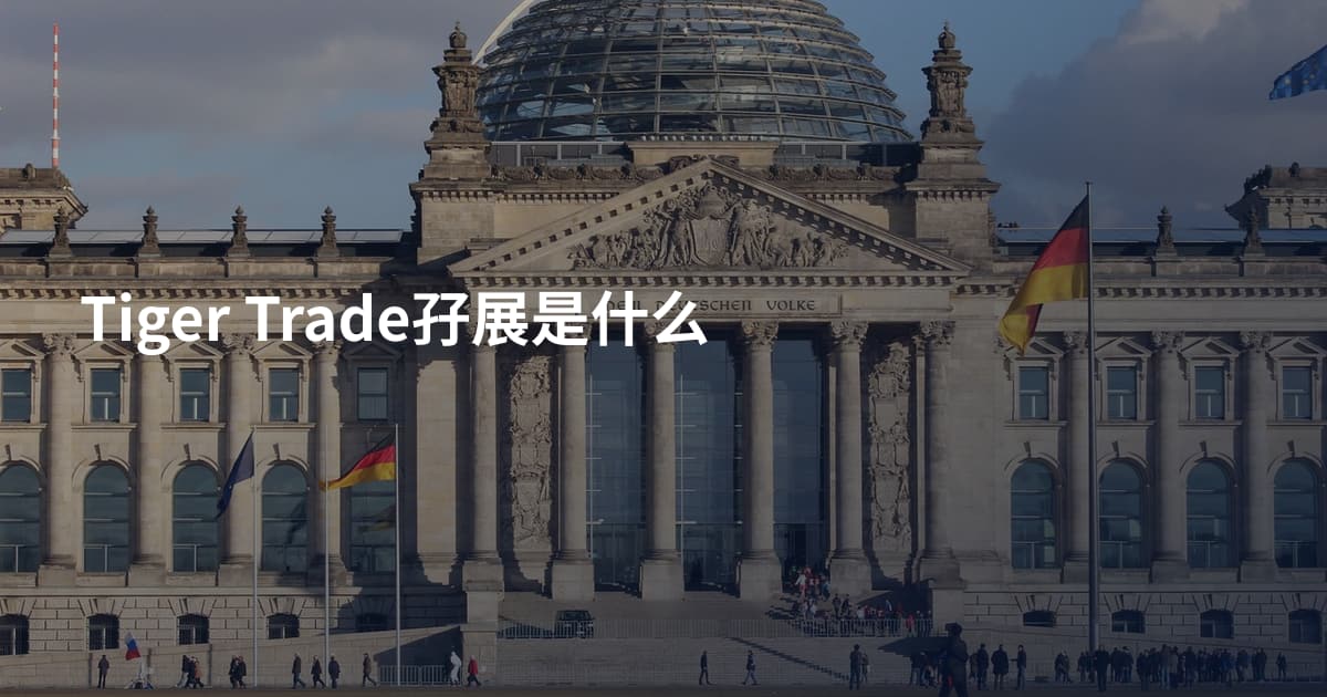 Tiger Trade孖展是什么