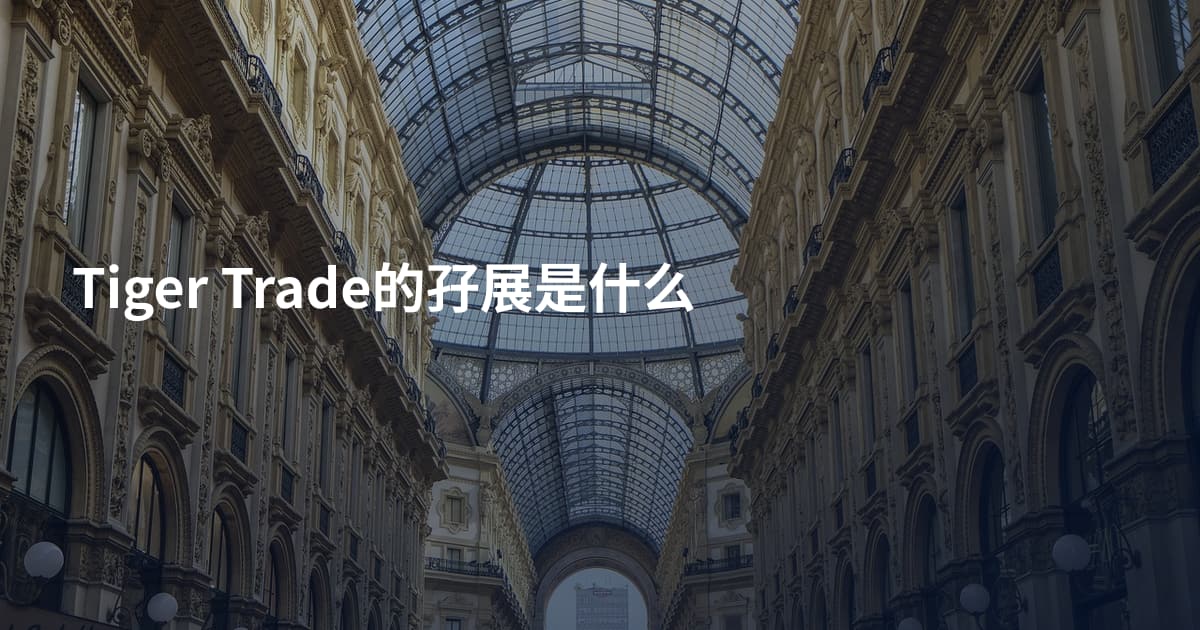 Tiger Trade的孖展是什么