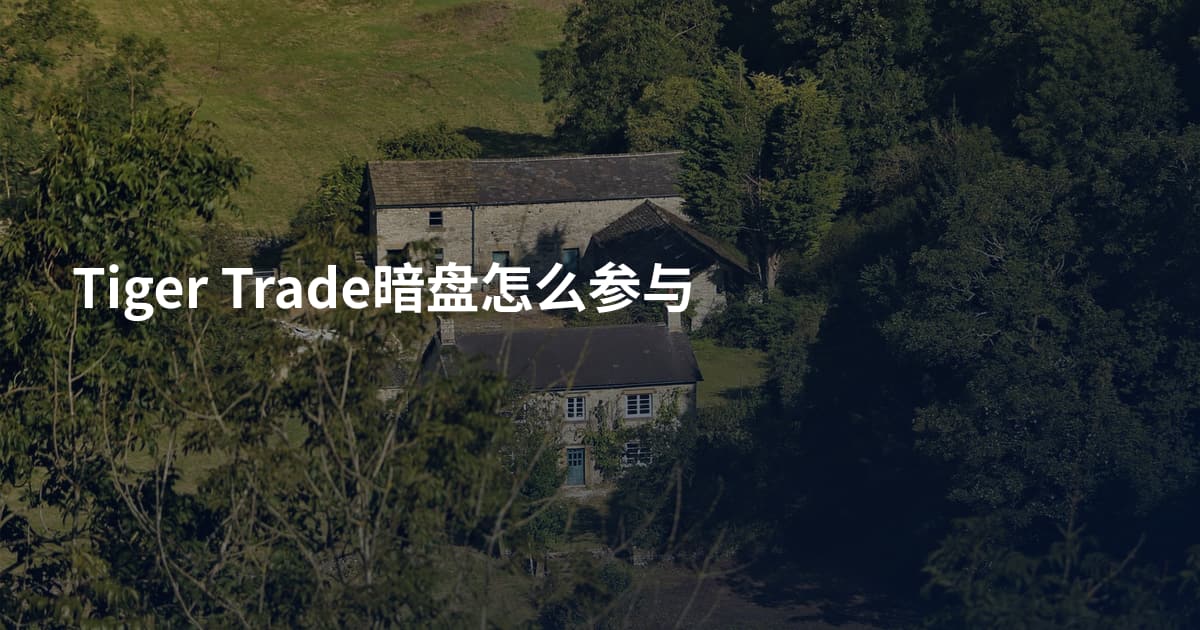 Tiger Trade暗盘怎么参与