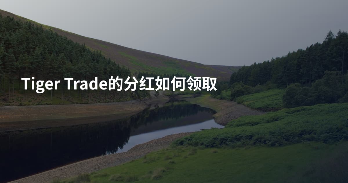 Tiger Trade的分红如何领取