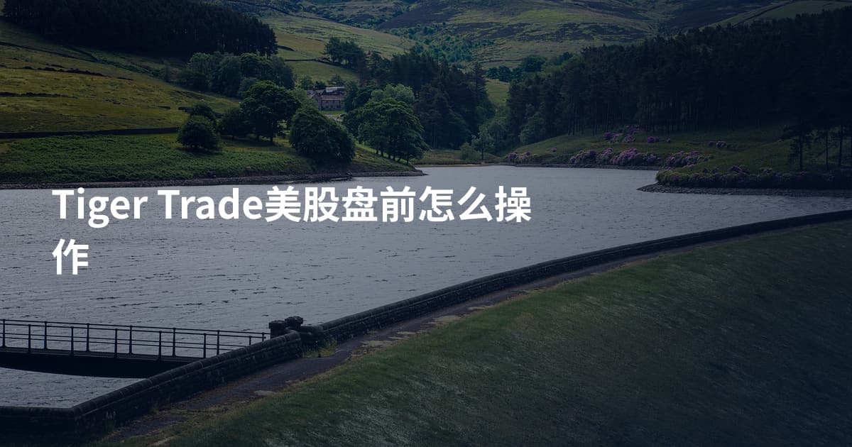 Tiger Trade美股盘前怎么操作