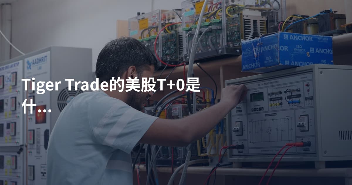 Tiger Trade的美股T+0是什么