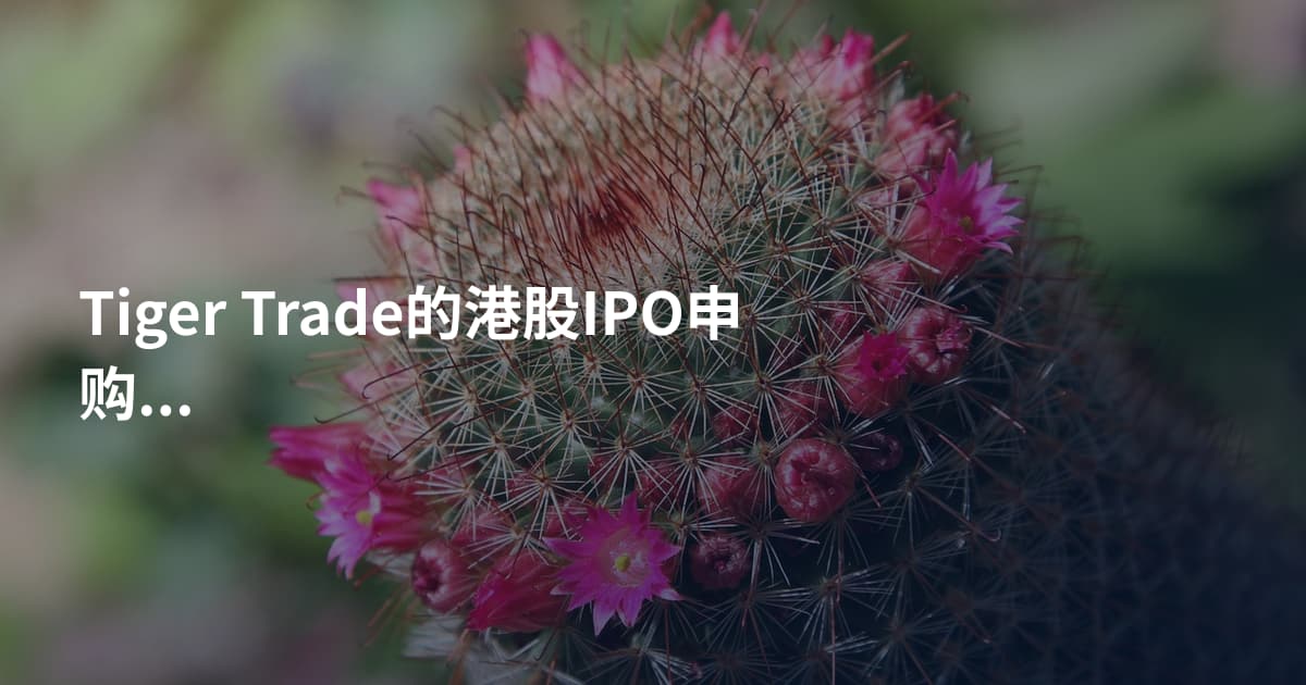Tiger Trade的港股IPO申购流程