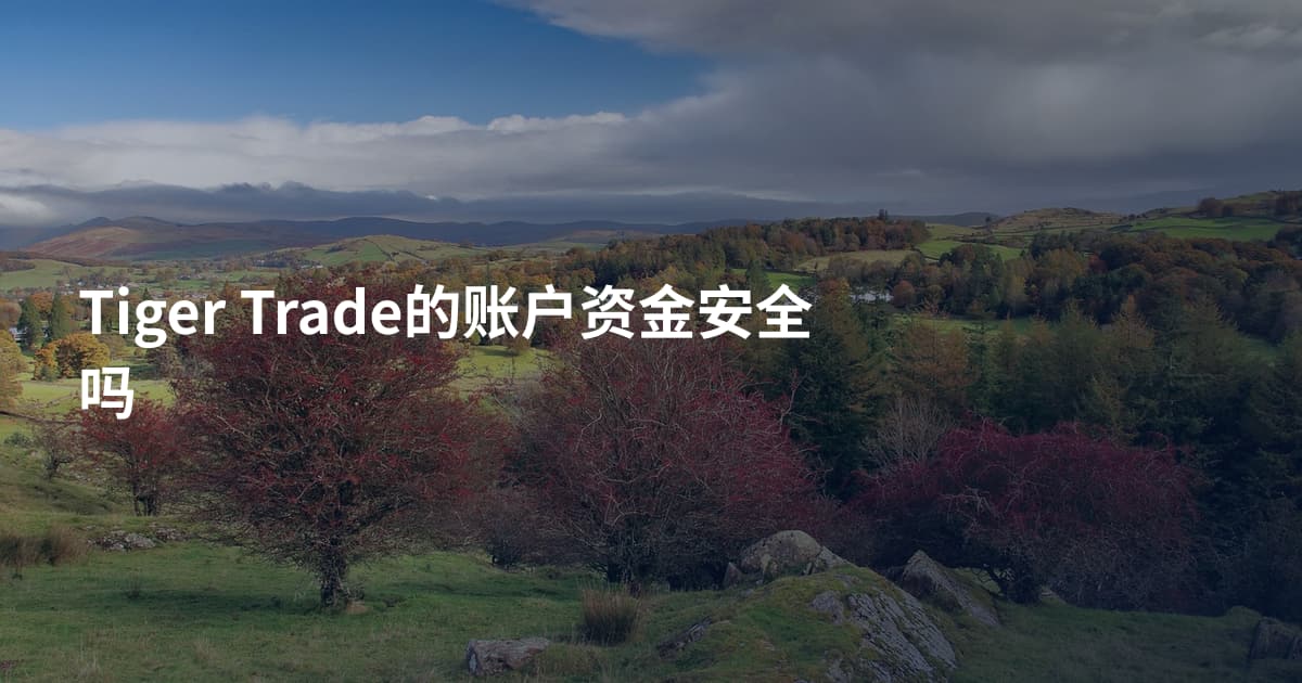 Tiger Trade的账户资金安全吗