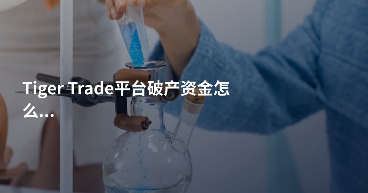Tiger Trade平台破产资金怎么办